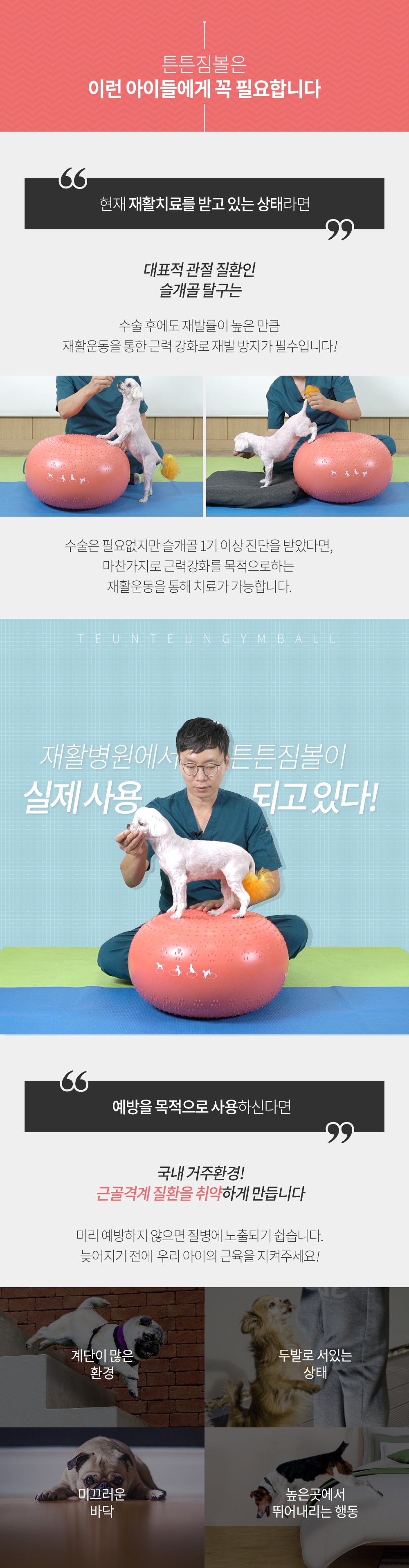 반려견 운동기구 튼튼짐볼+홀더 (단품/세트)-상품이미지-7