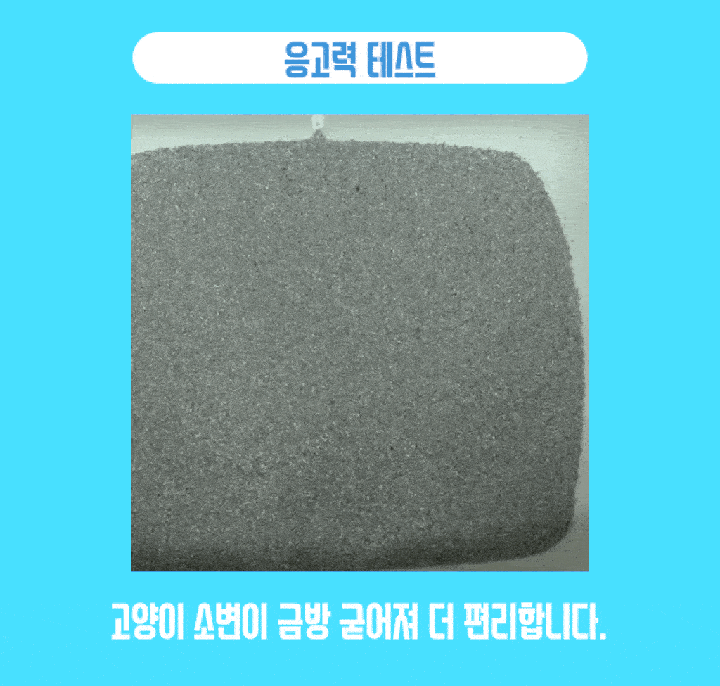 나응식 수의사의 캣썸 노블샌드23 (6kg)-상품이미지-19