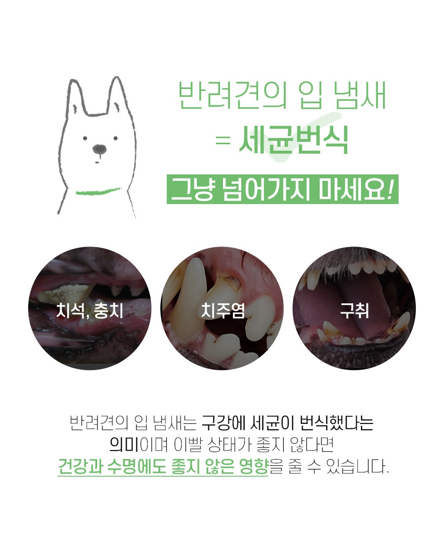 덴티페어리 클로로필 M 대용량 (34P)-상품이미지-10