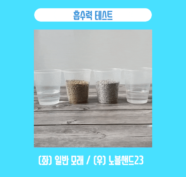 나응식 수의사의 캣썸 노블샌드23 (6kg)-상품이미지-16