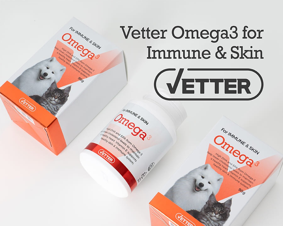 Vetter 댕냥이 영양 파우더 11종 (관절/피부/안정/눈/장/소화)-상품이미지-20