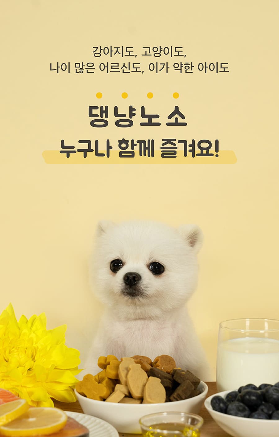 Vetter 댕댕츄정 (오메가3/프로바이오틱스/루테인/글루코사민)-상품이미지-4